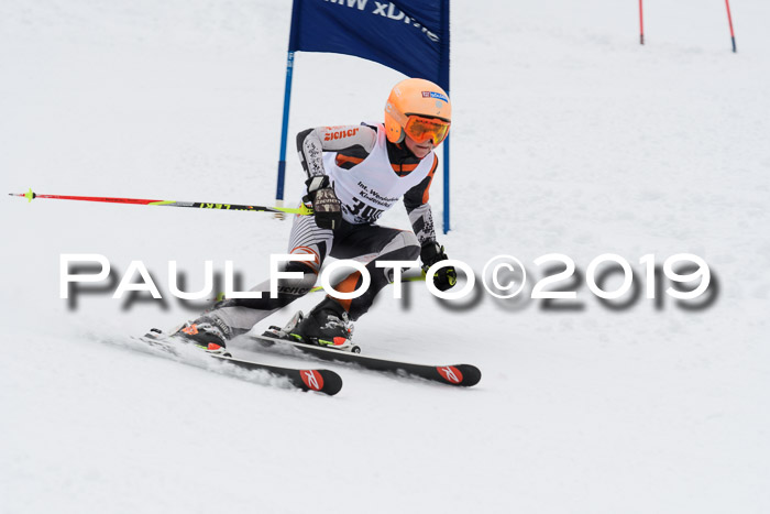 Werdenfelser Kinderskitag. mit Ziener und BZB Cup 2019