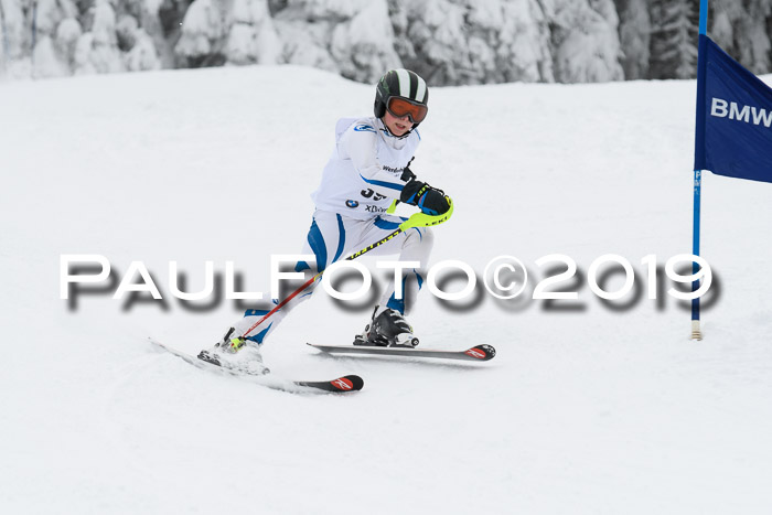 Werdenfelser Kinderskitag. mit Ziener und BZB Cup 2019