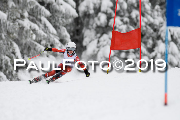 Werdenfelser Kinderskitag. mit Ziener und BZB Cup 2019