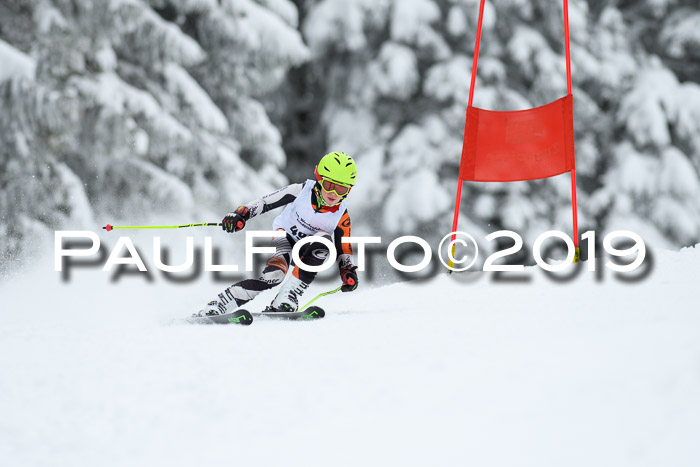 Werdenfelser Kinderskitag. mit Ziener und BZB Cup 2019