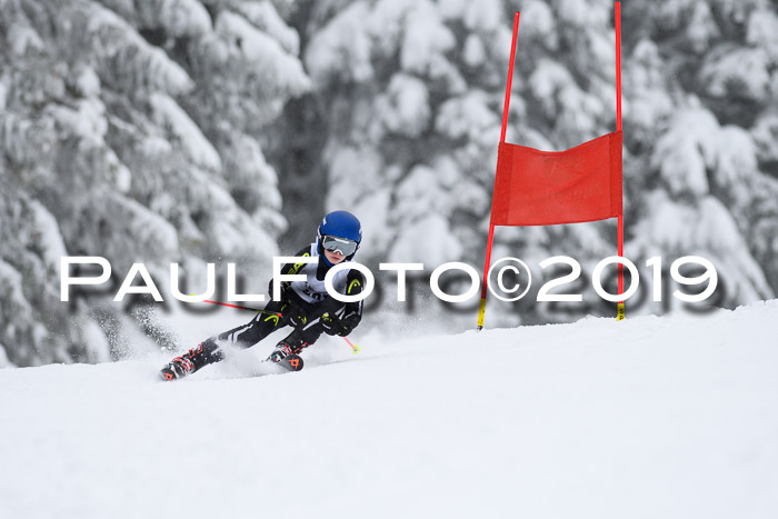 Werdenfelser Kinderskitag. mit Ziener und BZB Cup 2019