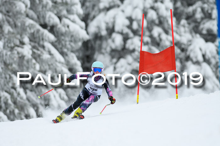 Werdenfelser Kinderskitag. mit Ziener und BZB Cup 2019