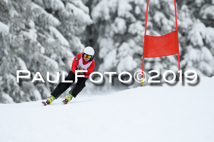 Werdenfelser Kinderskitag. mit Ziener und BZB Cup 2019