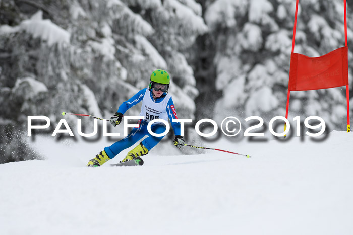 Werdenfelser Kinderskitag. mit Ziener und BZB Cup 2019