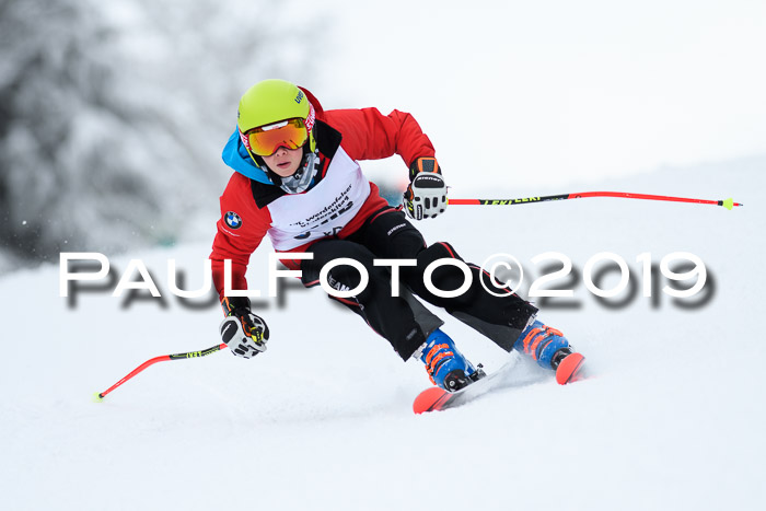 Werdenfelser Kinderskitag. mit Ziener und BZB Cup 2019