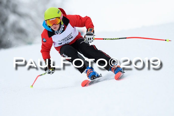 Werdenfelser Kinderskitag. mit Ziener und BZB Cup 2019