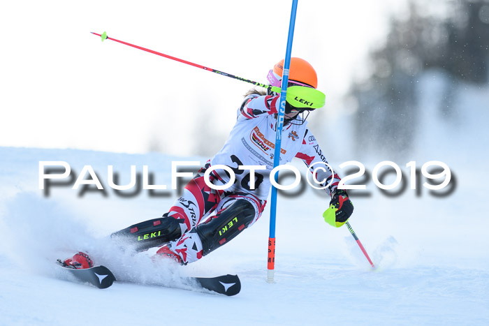 DSV Dt. Schülercup U14 SL 20.01.2019 Slalom