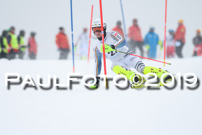 Int. FIS Rennen + NJC  AC Herren, FIS SG, Götschen, 25.01.2019