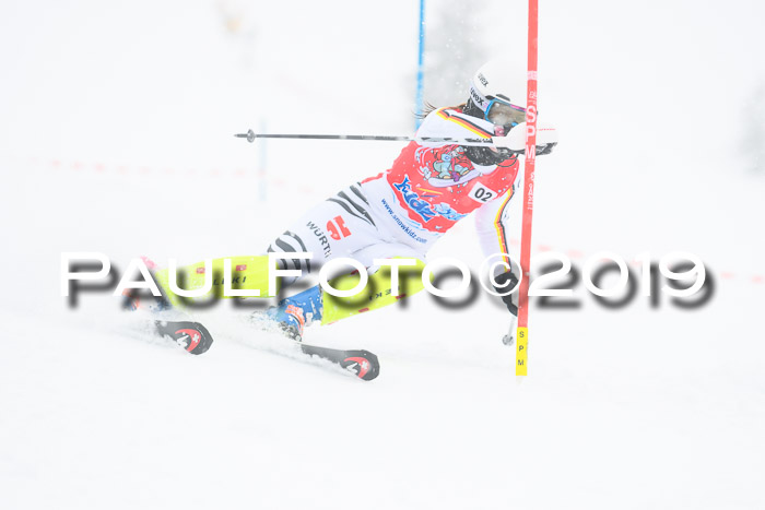 FIS Deutsche Jugendmeisterschaft Slalom Herren 2019