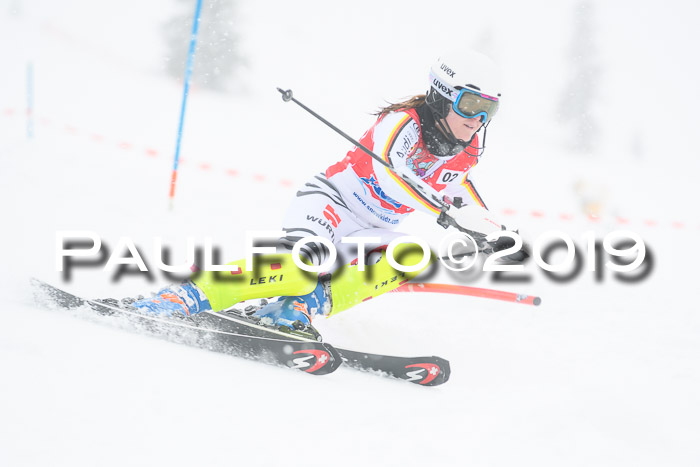 FIS Deutsche Jugendmeisterschaft Slalom Herren 2019