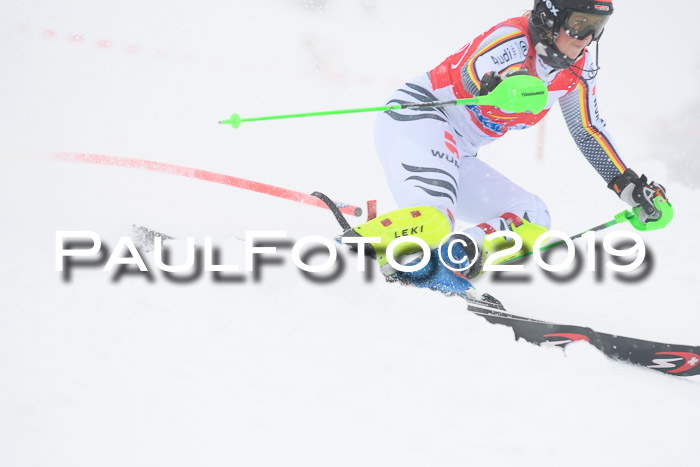 FIS Deutsche Jugendmeisterschaft Slalom Herren 2019