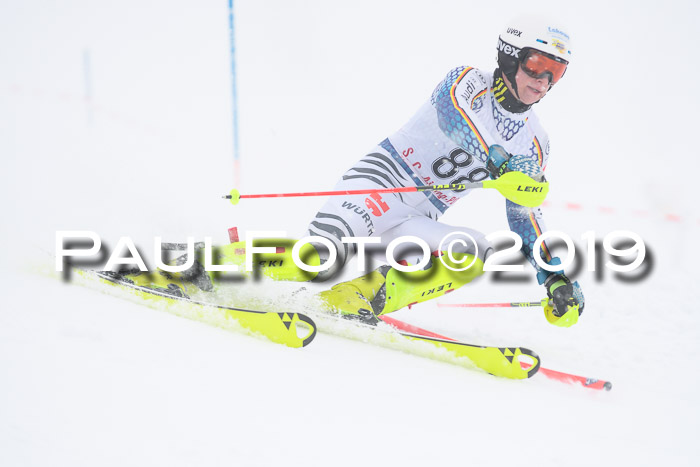 FIS Deutsche Jugendmeisterschaft Slalom Herren 2019