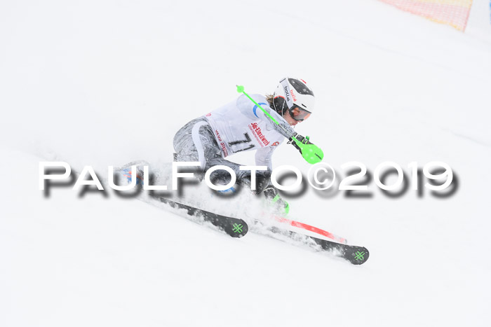 FIS Deutsche Jugendmeisterschaft Slalom Herren 2019