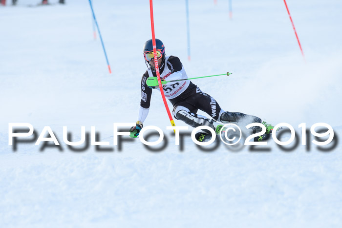 FIS Slalom + NJC Damen + FIS Herren 27.01.2019