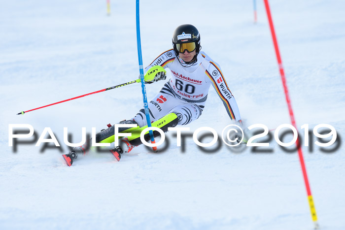 FIS Slalom + NJC Damen + FIS Herren 27.01.2019