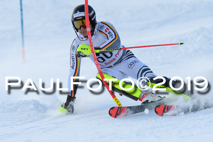 FIS Slalom + NJC Damen + FIS Herren 27.01.2019