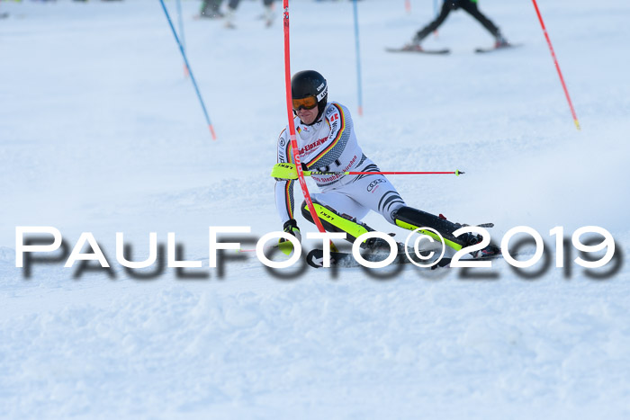 FIS Slalom + NJC Damen + FIS Herren 27.01.2019