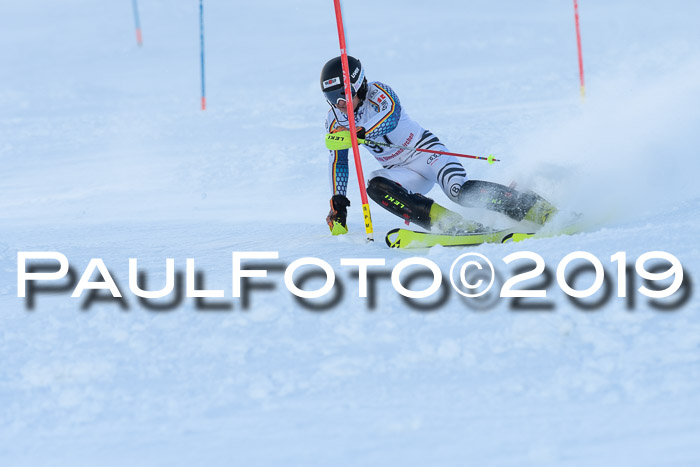 FIS Slalom + NJC Damen + FIS Herren 27.01.2019