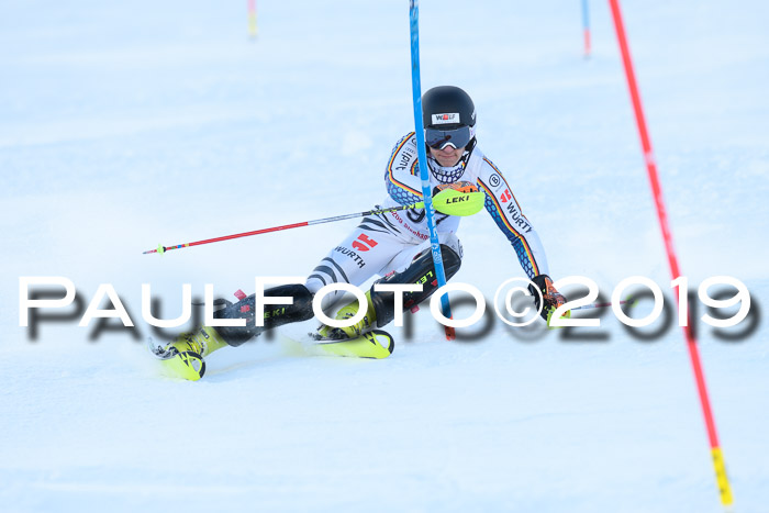 FIS Slalom + NJC Damen + FIS Herren 27.01.2019