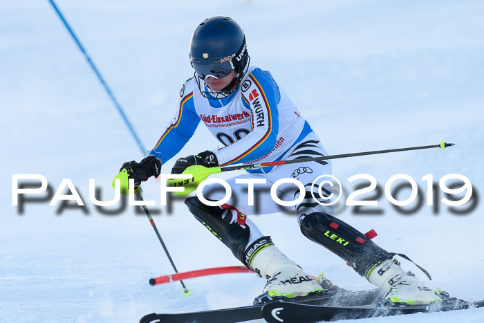 FIS Slalom + NJC Damen + FIS Herren 27.01.2019