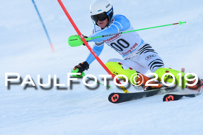 FIS Slalom + NJC Damen + FIS Herren 27.01.2019