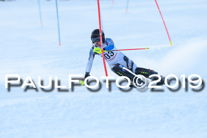 FIS Slalom + NJC Damen + FIS Herren 27.01.2019