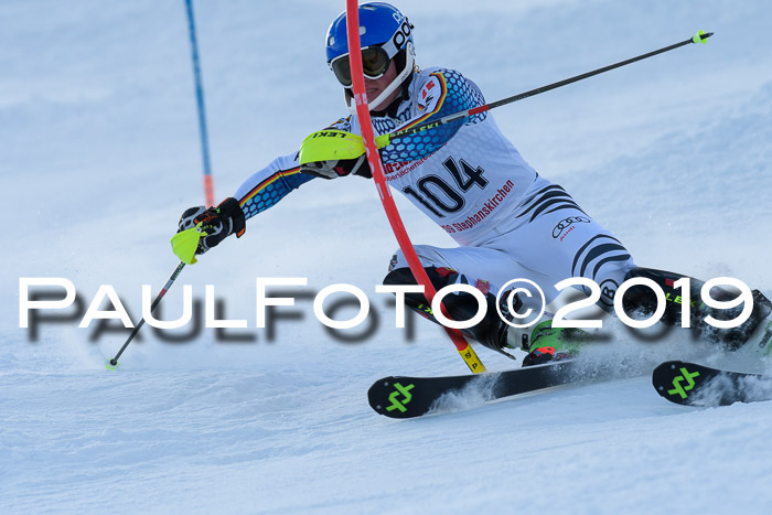 FIS Slalom + NJC Damen + FIS Herren 27.01.2019