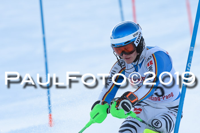 FIS Slalom + NJC Damen + FIS Herren 27.01.2019