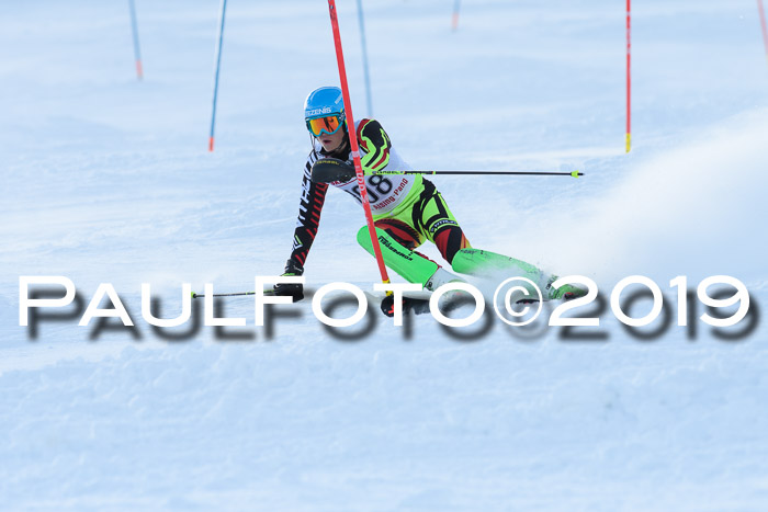 FIS Slalom + NJC Damen + FIS Herren 27.01.2019