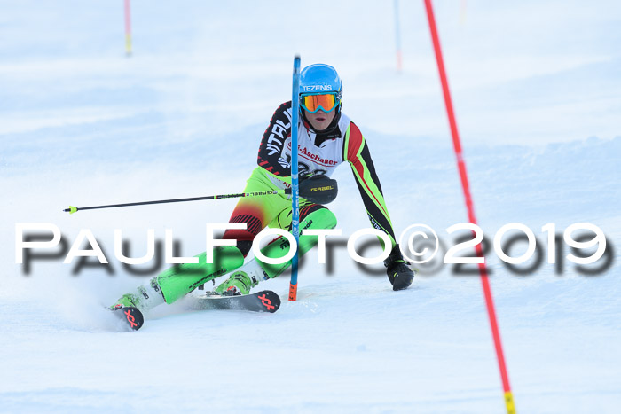 FIS Slalom + NJC Damen + FIS Herren 27.01.2019