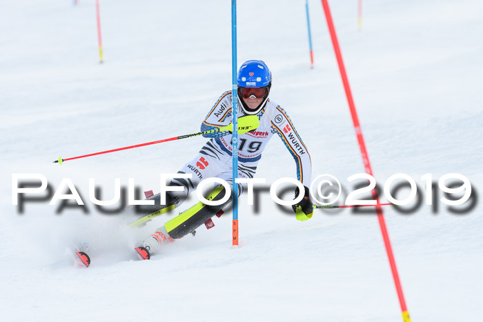 FIS Slalom + NJC Damen + FIS Herren 27.01.2019