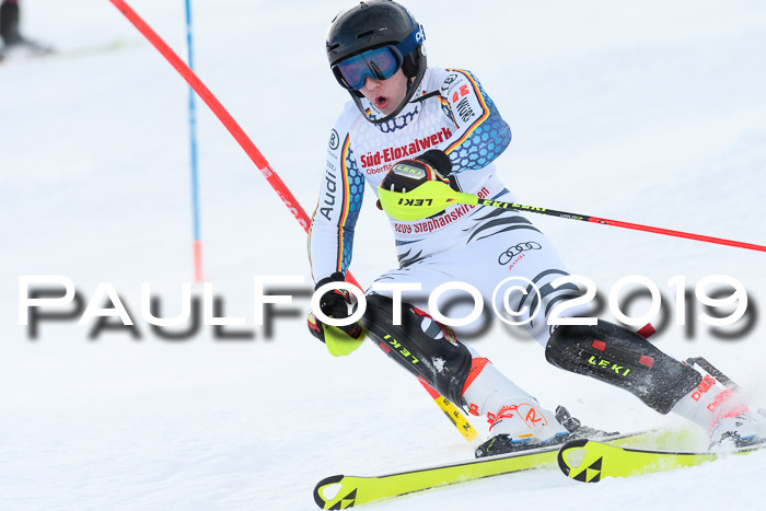 FIS Slalom + NJC Damen + FIS Herren 27.01.2019