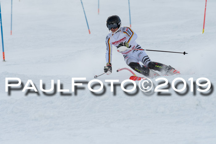 FIS Slalom + NJC Damen + FIS Herren 27.01.2019