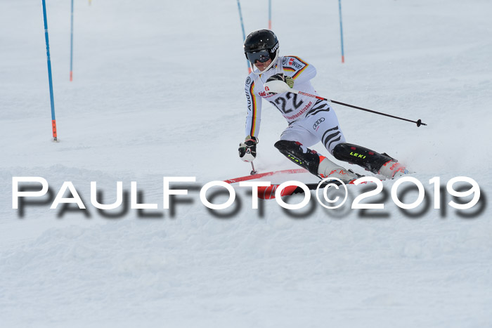 FIS Slalom + NJC Damen + FIS Herren 27.01.2019