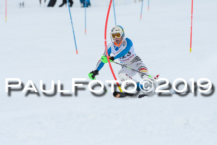 FIS Slalom + NJC Damen + FIS Herren 27.01.2019