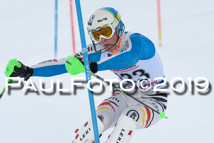 FIS Slalom + NJC Damen + FIS Herren 27.01.2019