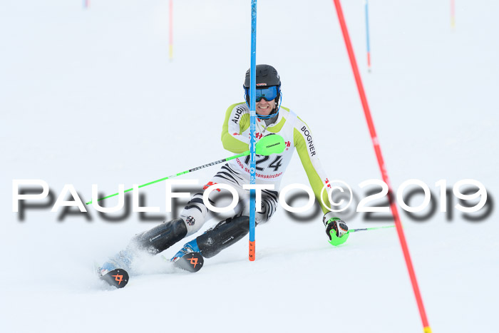 FIS Slalom + NJC Damen + FIS Herren 27.01.2019