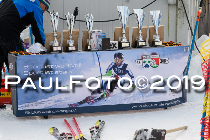 FIS Slalom + NJC Damen + FIS Herren 27.01.2019