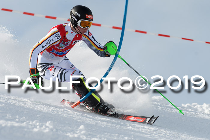 FIS Slalom + NJC Damen + FIS Herren 27.01.2019