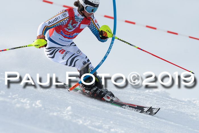 FIS Slalom + NJC Damen + FIS Herren 27.01.2019