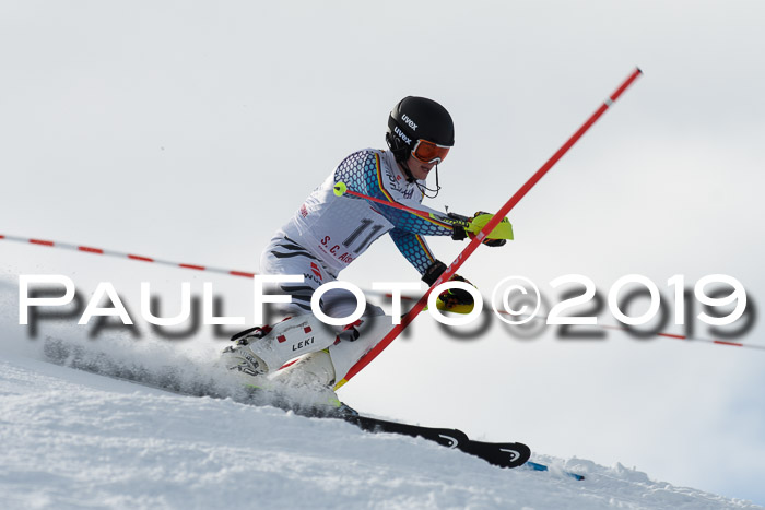 FIS Slalom + NJC Damen + FIS Herren 27.01.2019