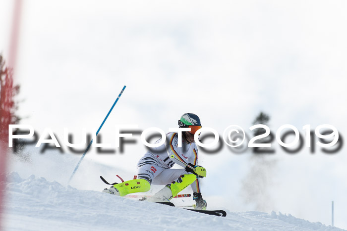 FIS Slalom + NJC Damen + FIS Herren 27.01.2019