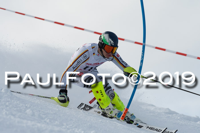 FIS Slalom + NJC Damen + FIS Herren 27.01.2019