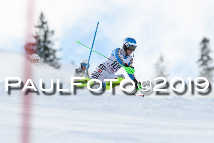 FIS Slalom + NJC Damen + FIS Herren 27.01.2019