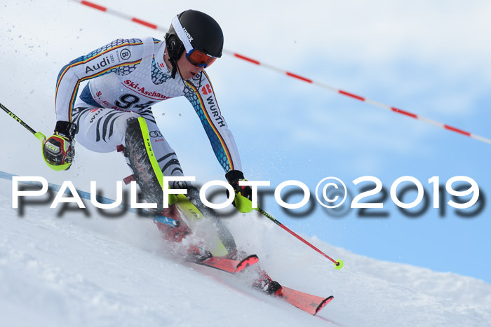 FIS Slalom + NJC Damen + FIS Herren 27.01.2019