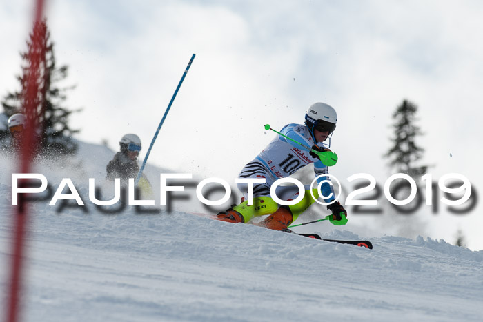 FIS Slalom + NJC Damen + FIS Herren 27.01.2019