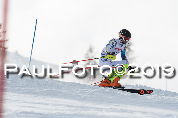 FIS Slalom + NJC Damen + FIS Herren 27.01.2019