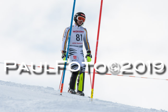 FIS Slalom + NJC Damen + FIS Herren 27.01.2019