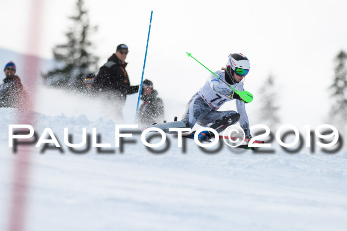 FIS Slalom + NJC Damen + FIS Herren 27.01.2019