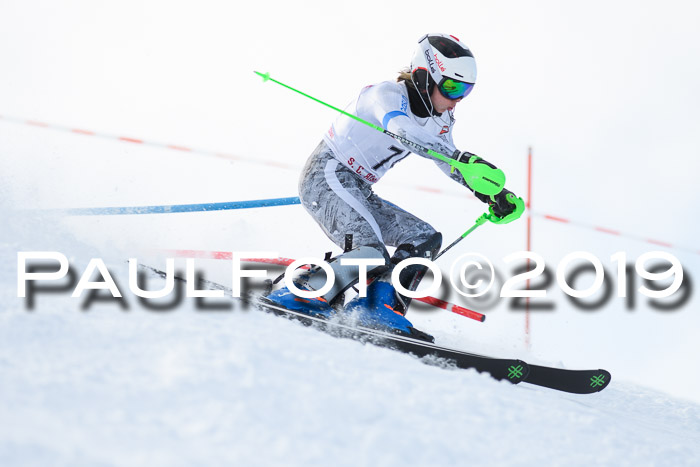 FIS Slalom + NJC Damen + FIS Herren 27.01.2019